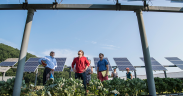 Australia backs microgrid studies for remote and rural communities