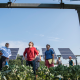 Australia backs microgrid studies for remote and rural communities