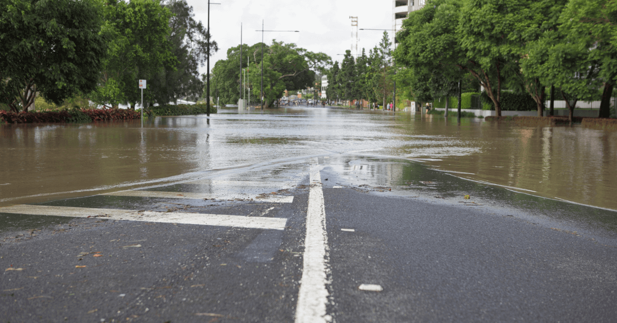 Service NSW blocks 3600 claims for flood support due to fraud
