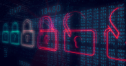 Radware introduces new global cyber security partner program