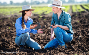 ANSIS will provide data and information to enable improved soil management