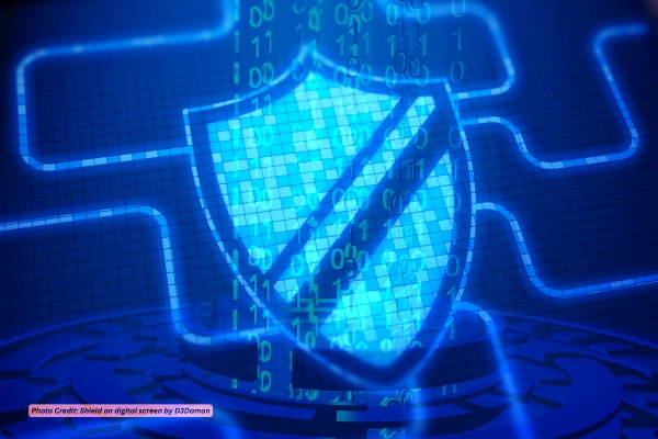 Cyber shield blocks Fast Flux attacks
